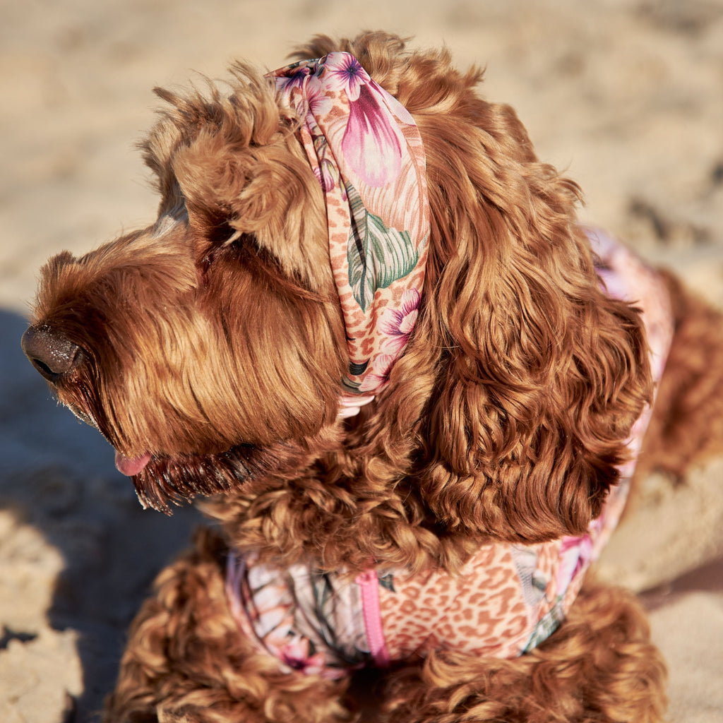 Floral Animal Print Silk Dog Headband Australia