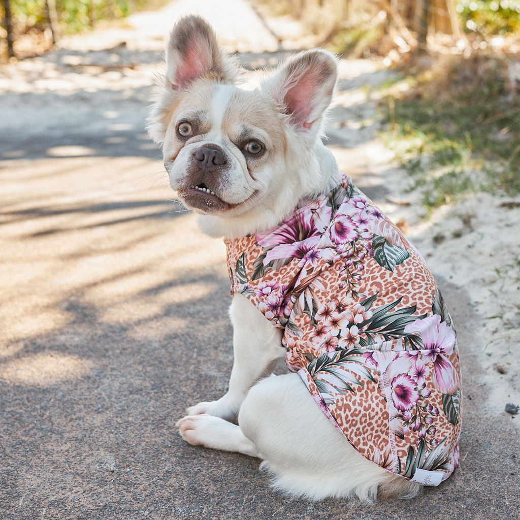 Floral Animal Print Sun Protective Dog Rashie Australia