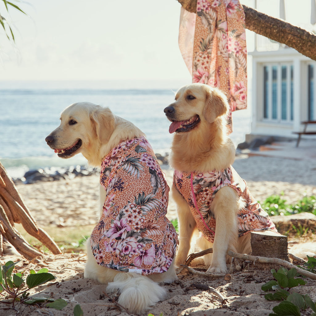 Floral Animal Print Sun Protective Dog Rashie Australia
