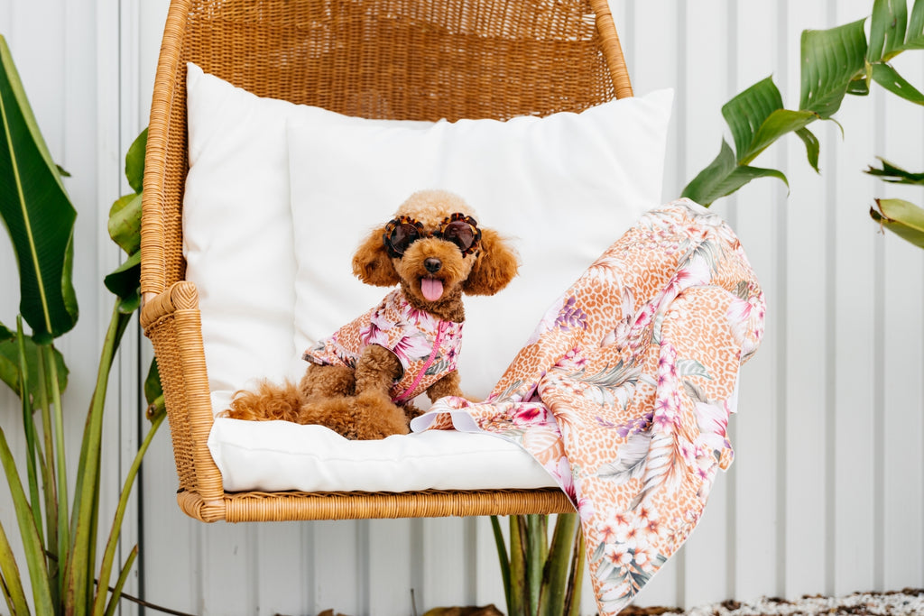 Floral Animal Print Sun Protective Dog Rashie Australia and Microfibre Travel Beach Towel