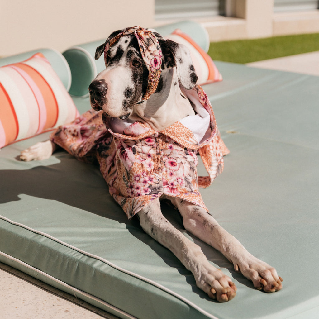 Dog wearing a floral robe and headband on a sunlit outdoor chair