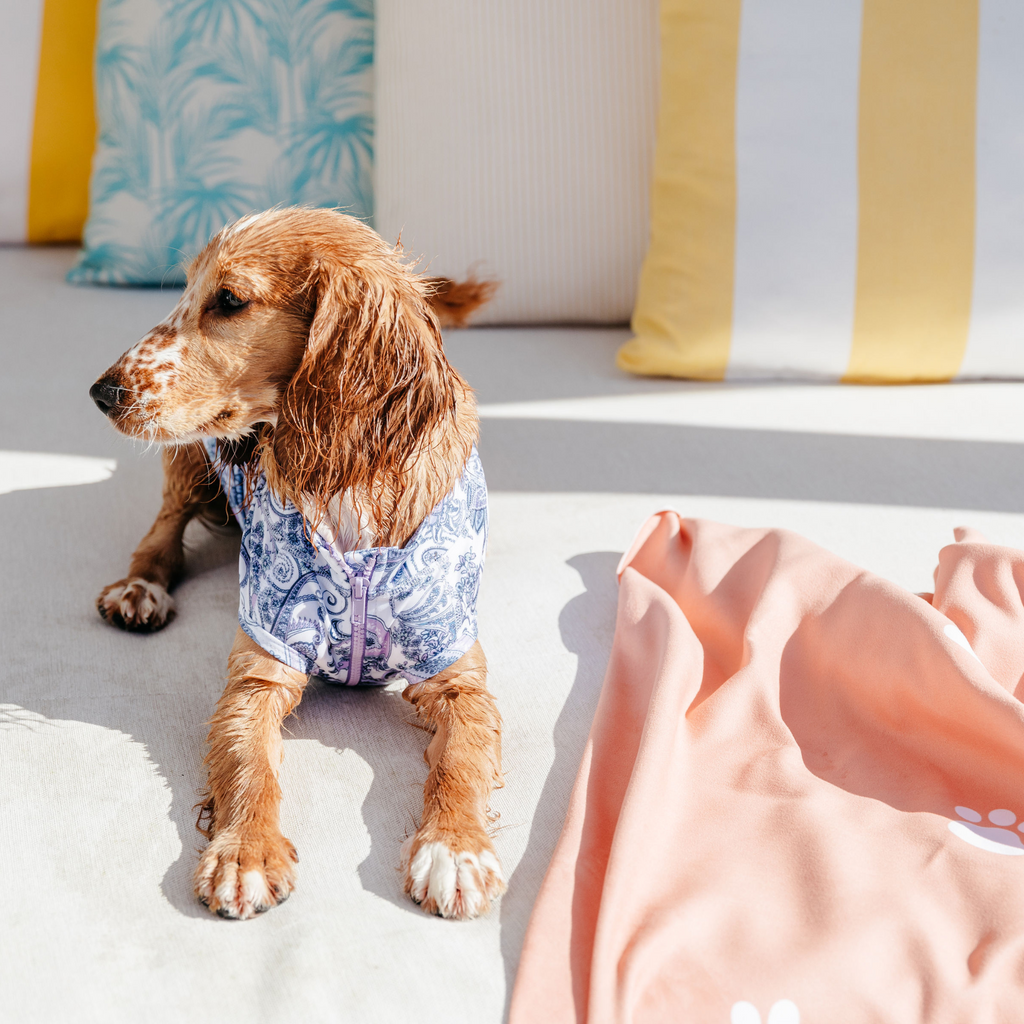 Lightweight Microfibre Orange Paw Print Dog Travel Beach Towel Australia
