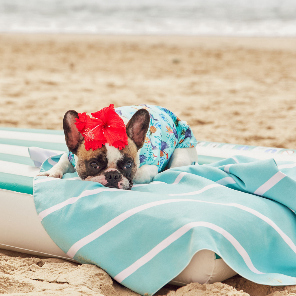 Lightweight Microfibre Green Striped Dog Travel Beach Towel Australia