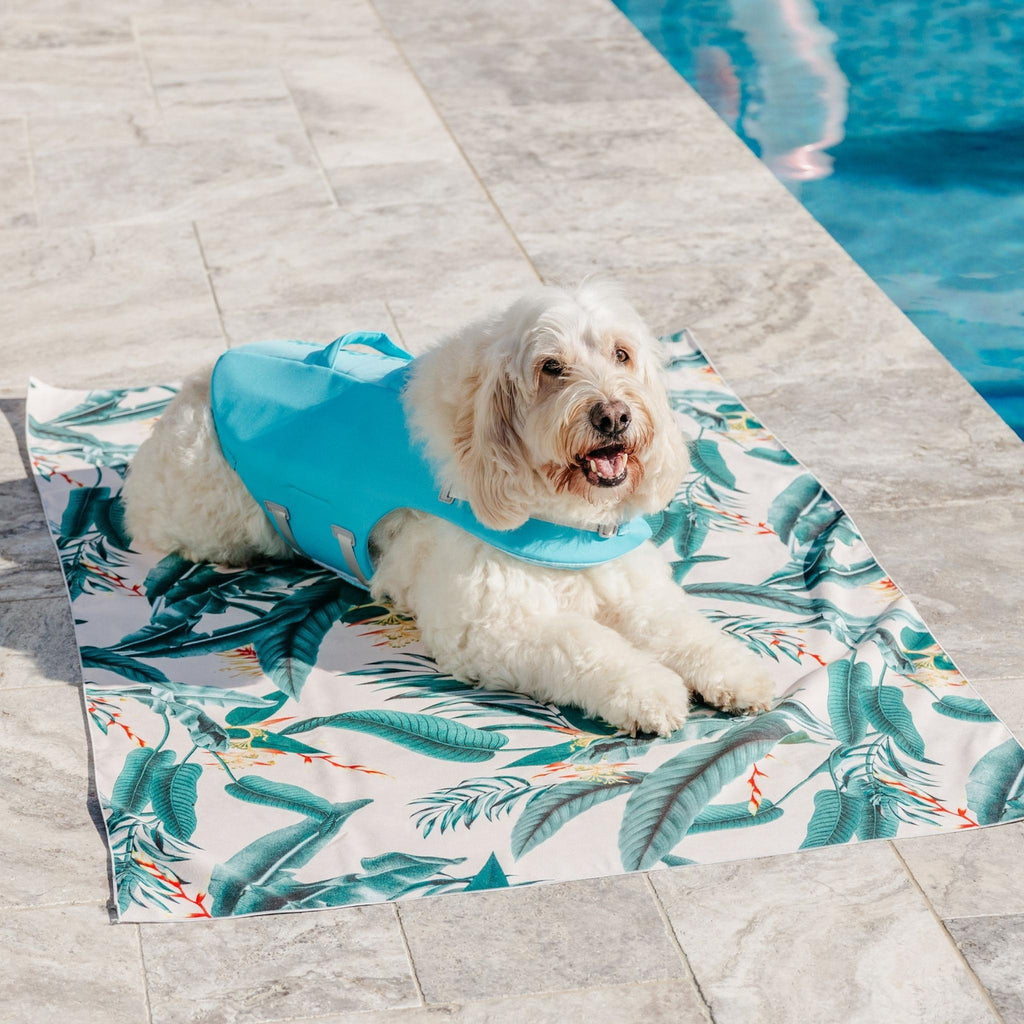 Lightweight Microfibre Tropical Green Leaves Dog Travel Beach Towel Australia